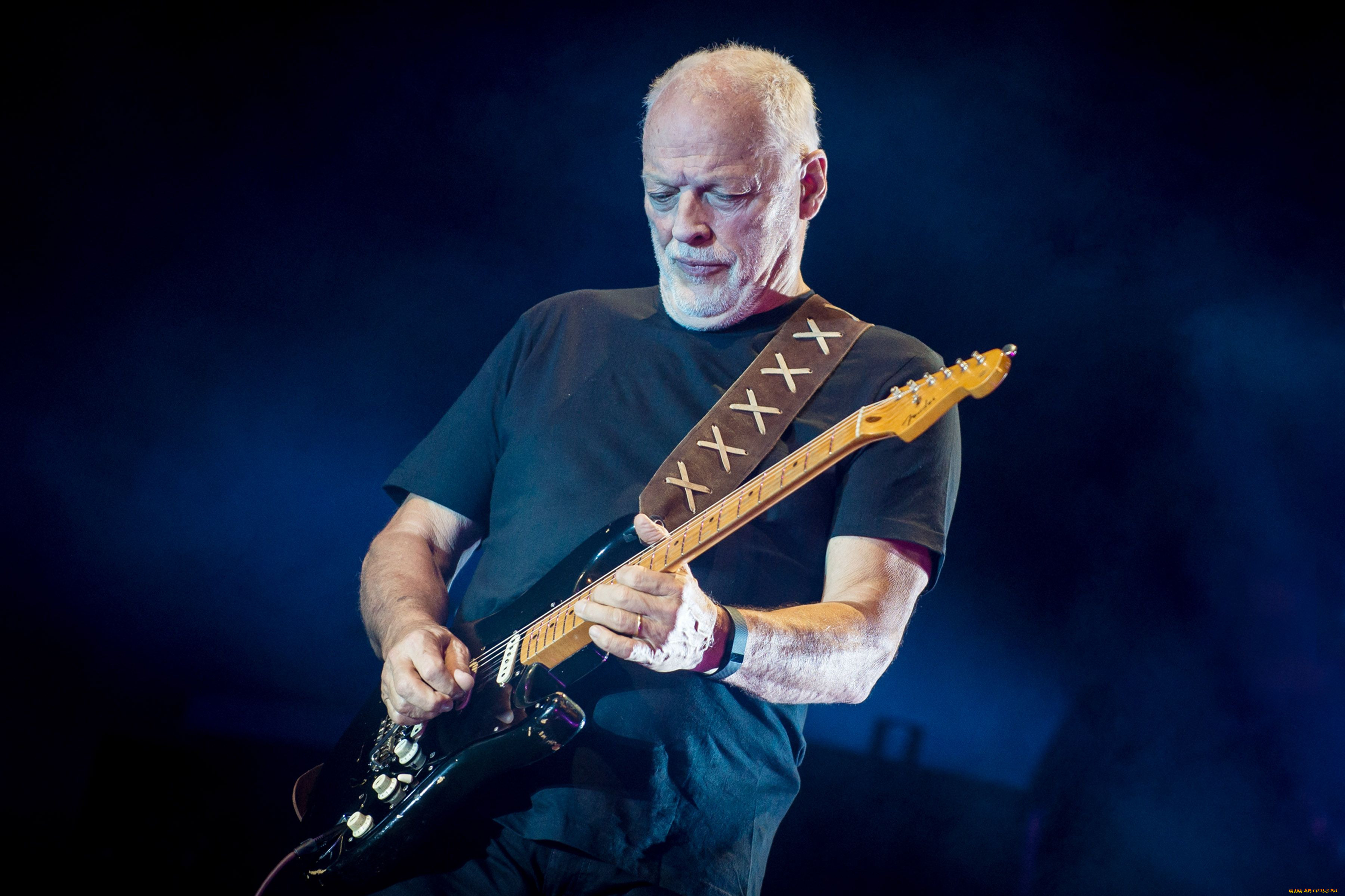 david gilmour, , 